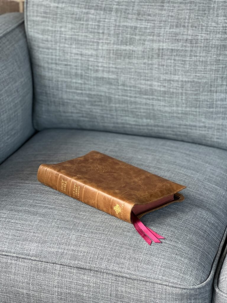 About Stems From The Gut – fibromyalgia gut–brain–immune connection blog